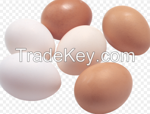 Fresh Brown and White Shell Chicken Eggs