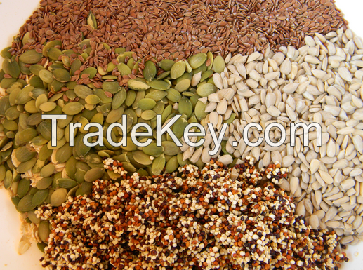 Sunflower Kernels / Pumpkin Kernels  / Betel Nuts Hazelnuts