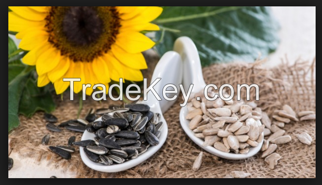 Sunflower Seeds And Kernels