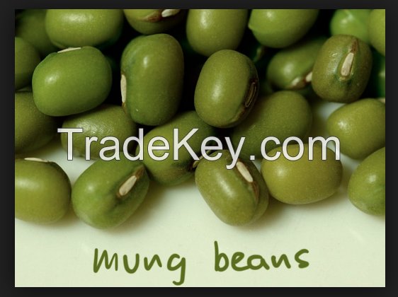 Mung Beans , Tor Dhal, Chicpeas Fos sale