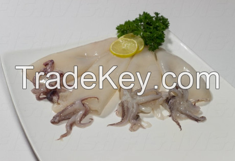 Frozen Squid