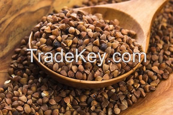 buckwheat ( unhulled, Raw and Roasted )