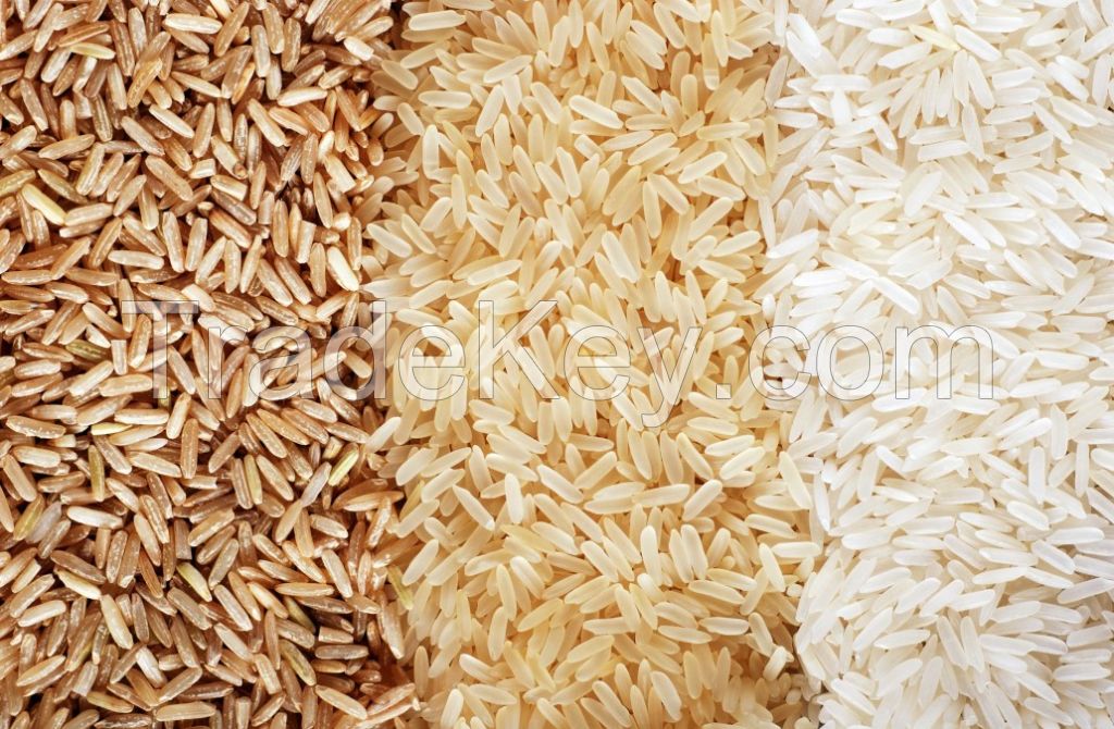 Long Grain , Basmati, Black, Broken, Brown, Jasmine, Organic Rice Available