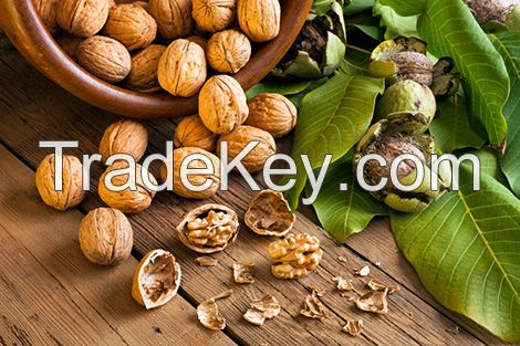 Walnut Nuts /Pistachio Nut/Pine Nuts /Walnut/Almonds/Mecademia Nuts/Cashew Nuts/peanuts