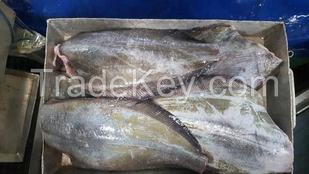 Greenland Halibut (Whole round, fillet, portions available)