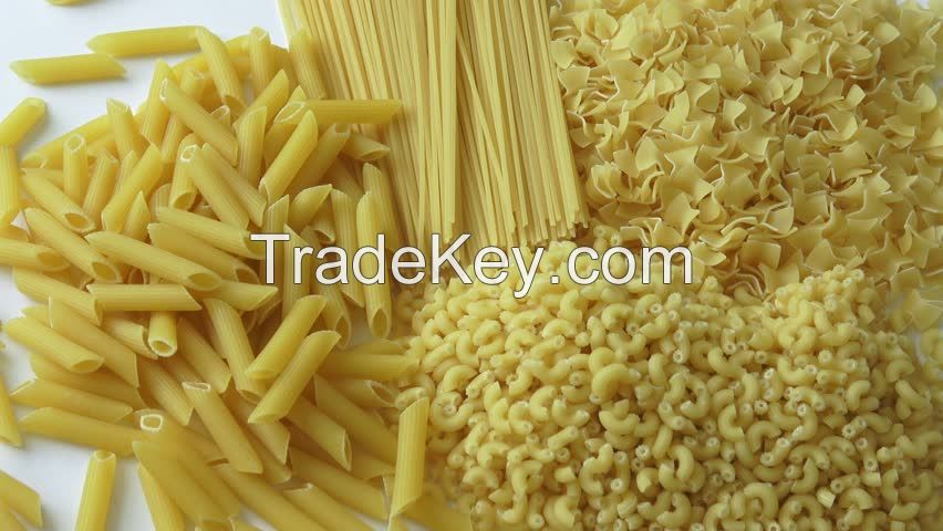 SPAGHETTI PASTA MACARONI SOUP NOODLES DURUM WHEAT SPAGHETTI