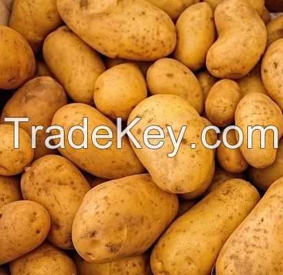 Fresh Potatoes Premium Grade