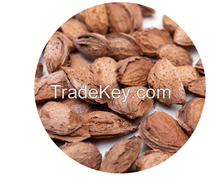 Almond Nuts Raw from California USA / Wholesale Almonds from California. Size 30/32