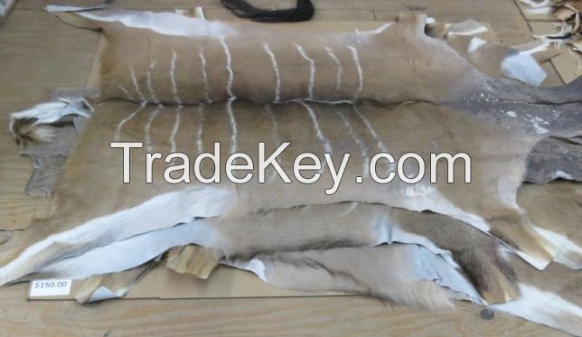 Dry And Wet Salted Donkey/Horse Hides/Wet Cow Hides