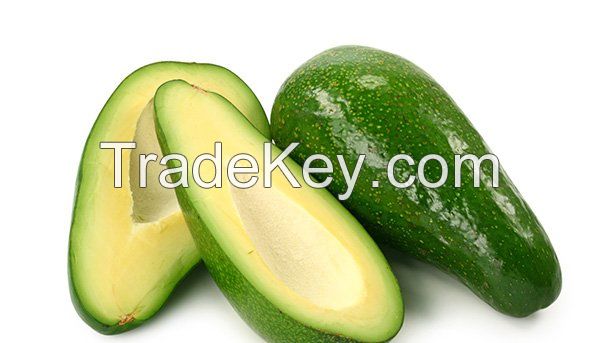 Fresh Avocado supplier looking for buyers