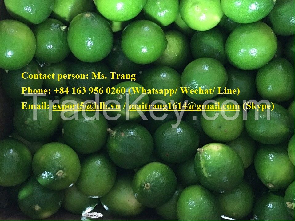 limon seedless supplier looking for buyers