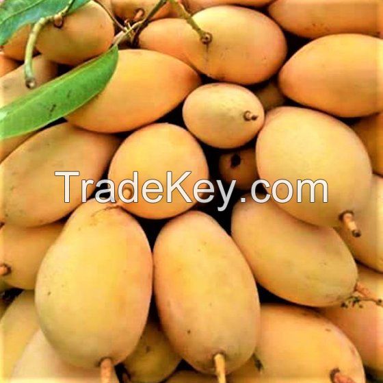 Best Grades Fresh Fruits And Vegetables For Sale At Best Price