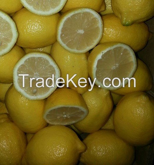 Eureka Lemon, Fresh Lemon, Anyue Lemon