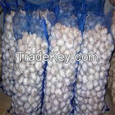 Fresh Normal Garlic (10kg/Mesh Bag)