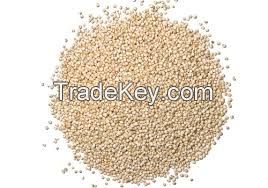 Quinoa grains