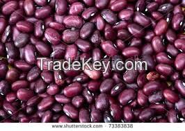 Low Price Wholesale New Crop HPS purple speckled kidney bean