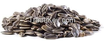 Sunflower Seeds Wholesale Nuts and Dried Fruits