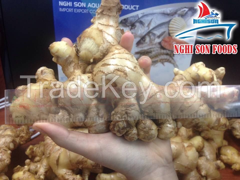 Selling 50 tons of ginger available from Viet Nam