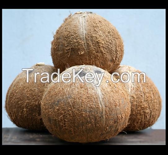 Semi Husked Coconut (Dried Coconut)