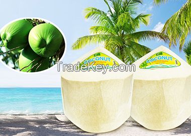 Fresh Young Coconut from Thailand