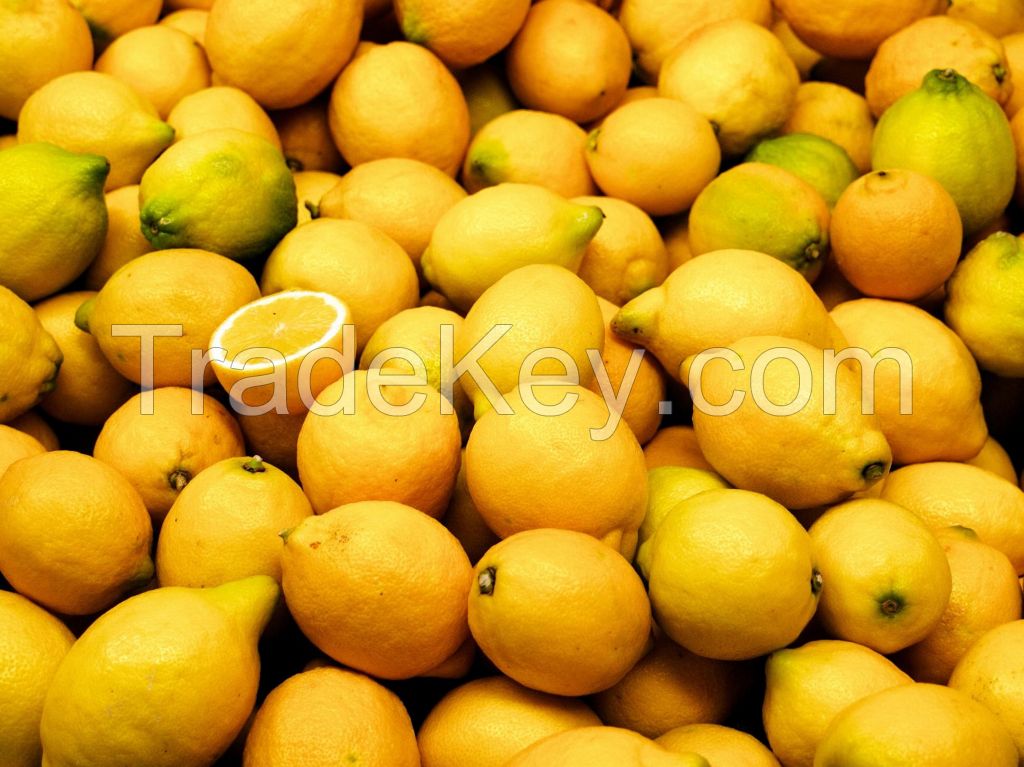 Fresh Yellow Eureka Lemons from South Africa- Best Quality and Price.