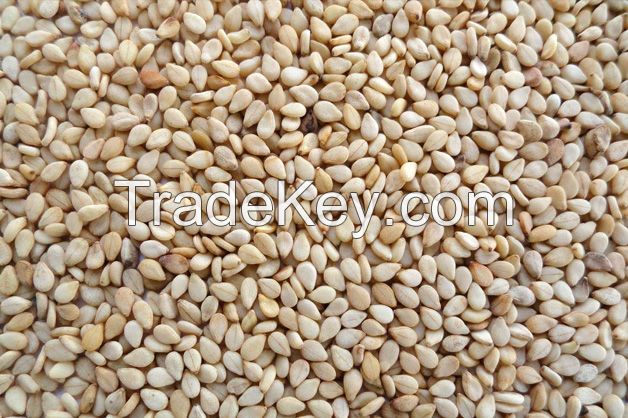 NATURAL AND HULLED SESAME SEED