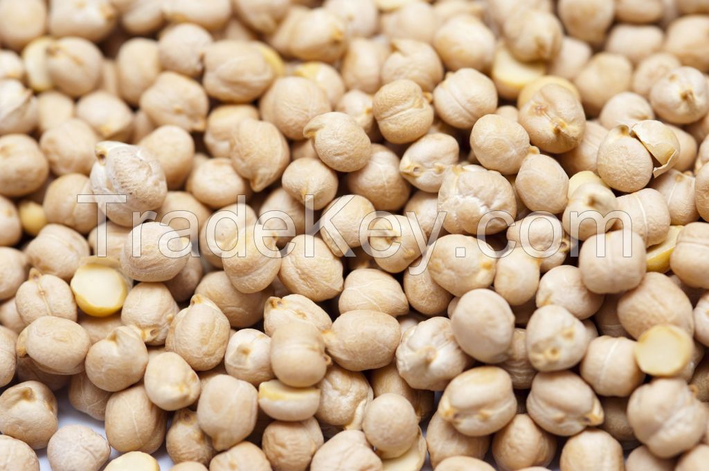 Desi and Kabuli Chickpeas For Sale At Best Price