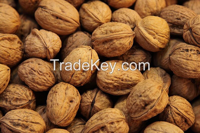 Walnuts in shell/walnuts kernels