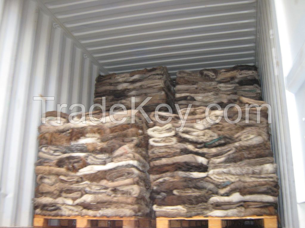 Donkey Hide, Dry and Wet Salted Donkey/Wet Salted Cow Hides