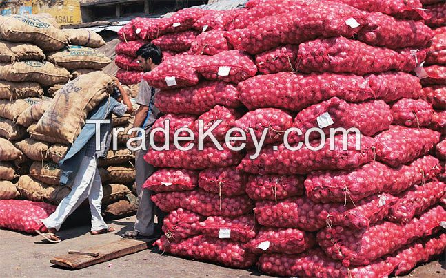 Sell Fresh Red Onion