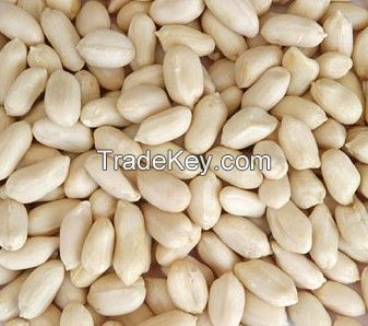 Quality Blanched peanut kernels raw peanuts