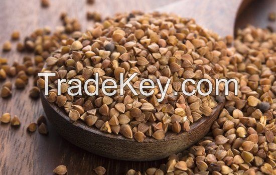 High quality Buckwheat /Hulled Buckwheat / Roasted Buckwheat