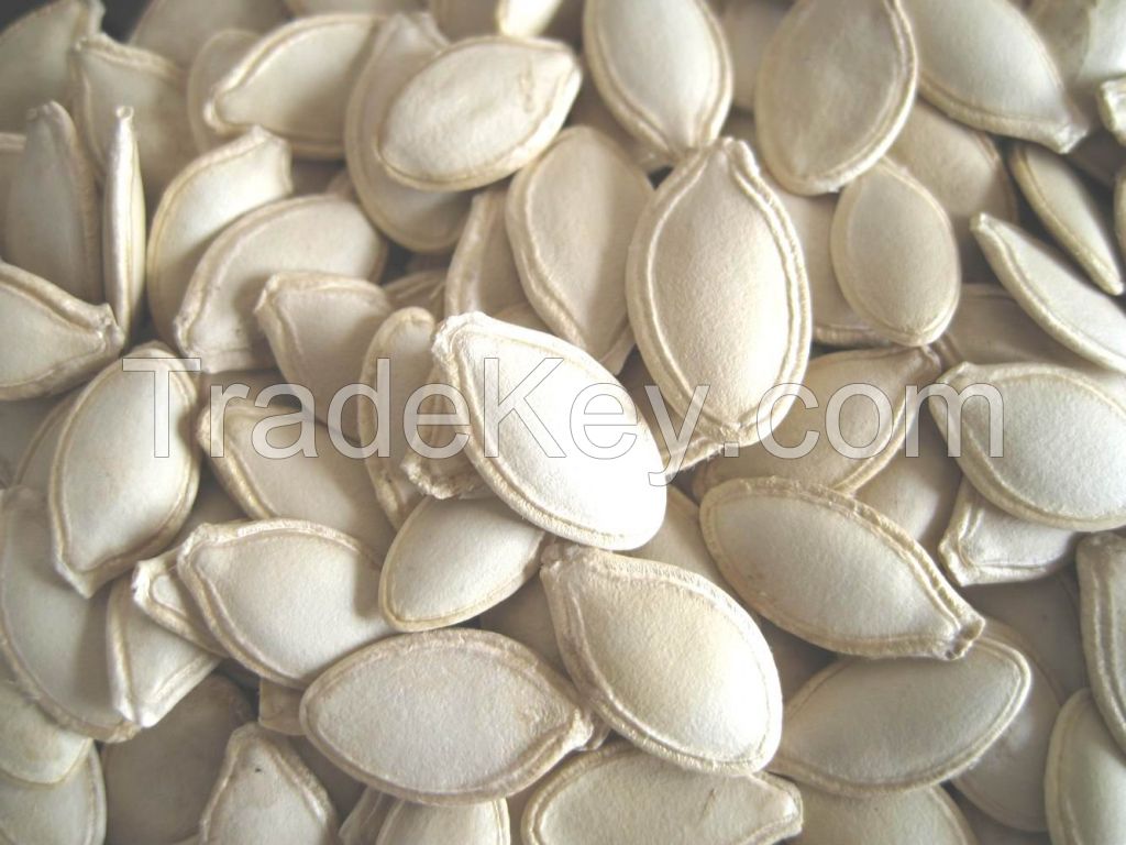 Sell Pumpkin Kernel, Snow White Pumpkin Seeds