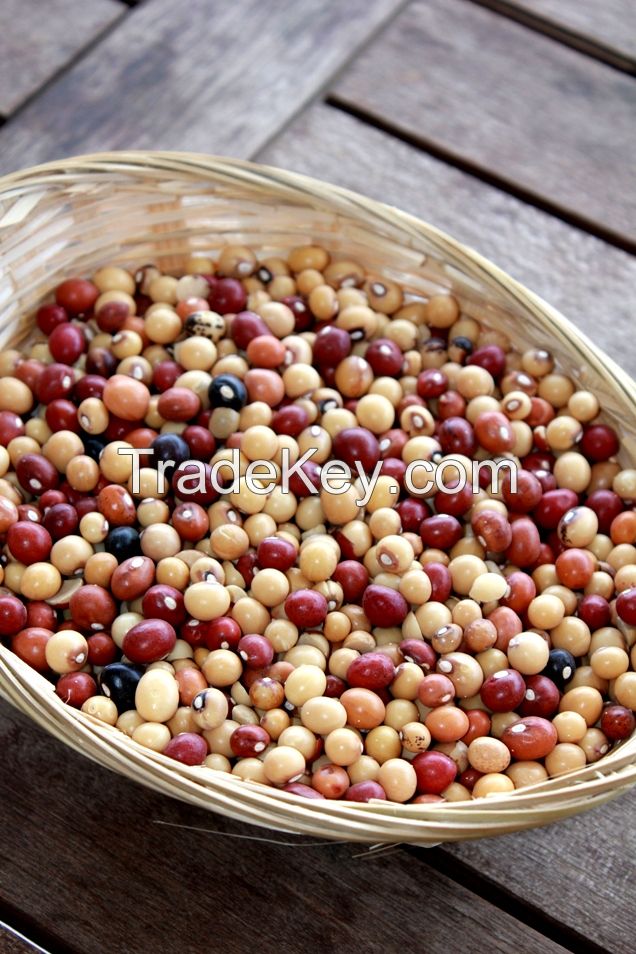 Sell jugo beans /bambara ground nuts