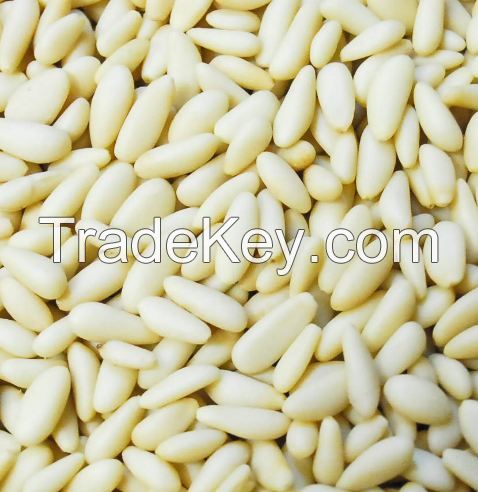 Top Grade Pine Nuts Available!!