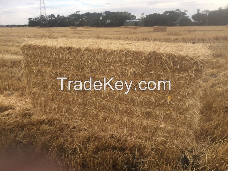 Best Wheat Straw bales