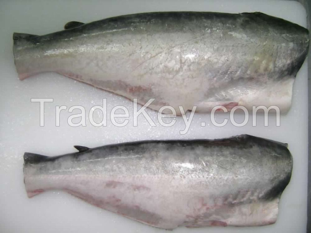 Frozen pangasius whole round gutted