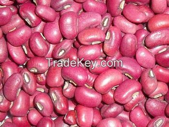 New Crop 2017 red cowpeas