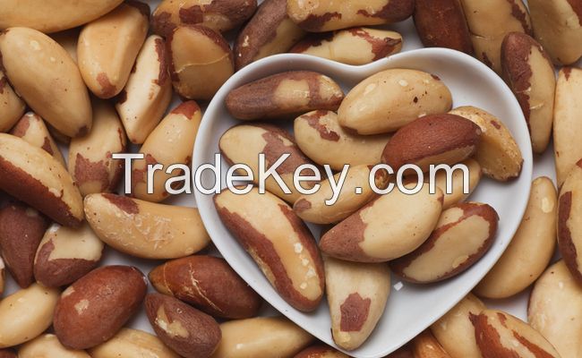 High in Calories and Fat Brazil Nuts Available for Sale