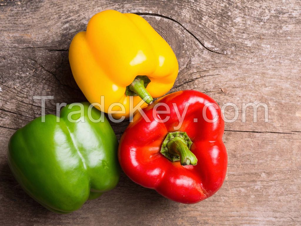 Fresh Capsicums