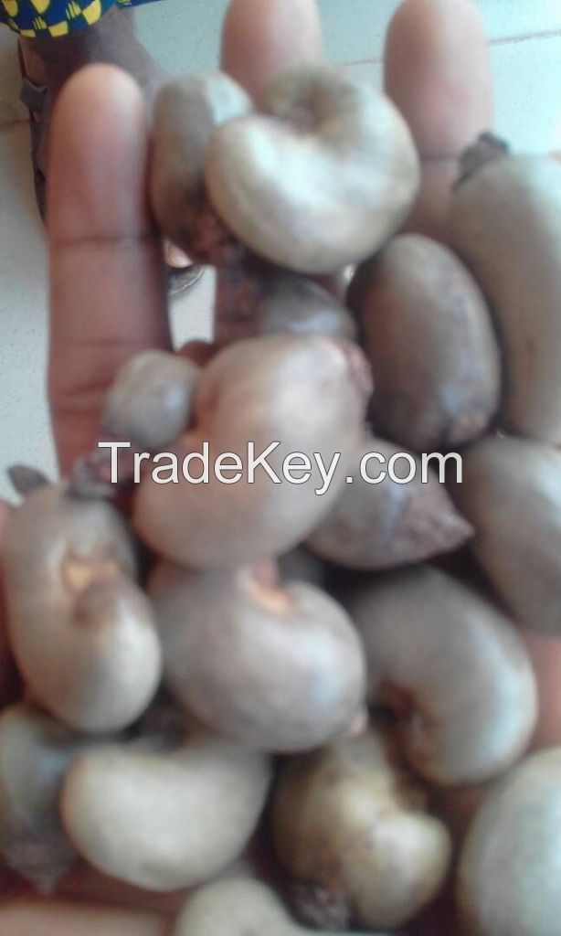 CASHEW NUT