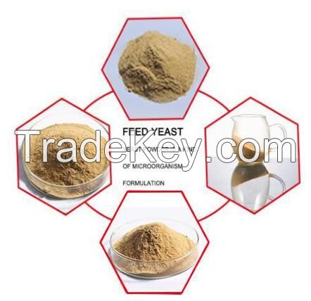 FEED YEAST POWDER