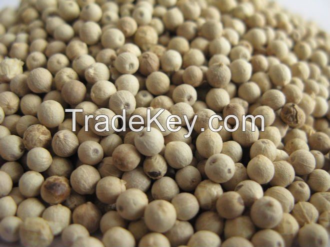 Whole Peppercorns pepper seeds wholesale White Pepper