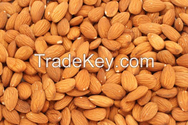 Organic Almonds Organic raw almonds Wholesale