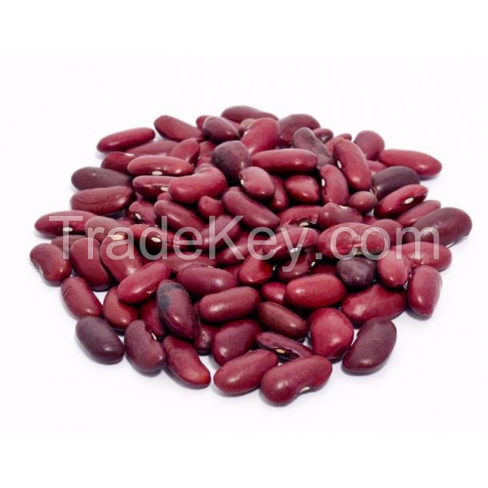 Dried kidney beans wholesale