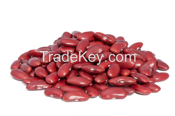 Dark red kidney beans wholesale