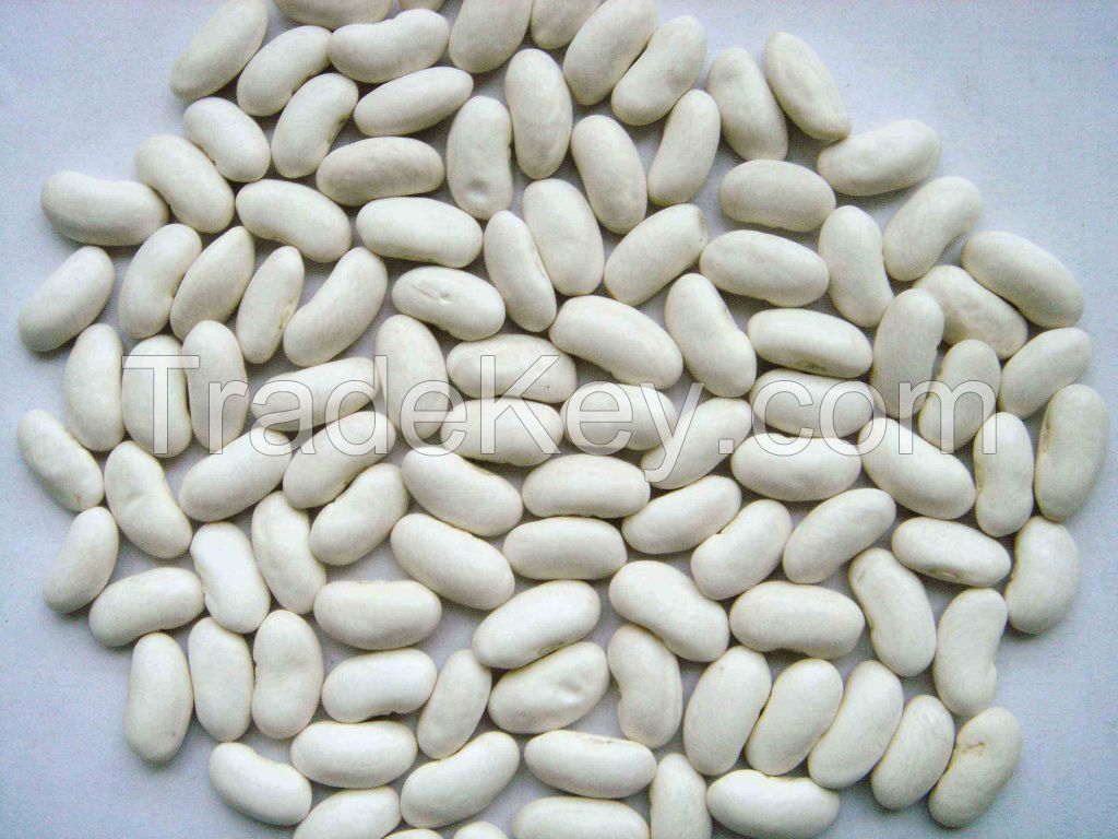 White Dried kidney beans