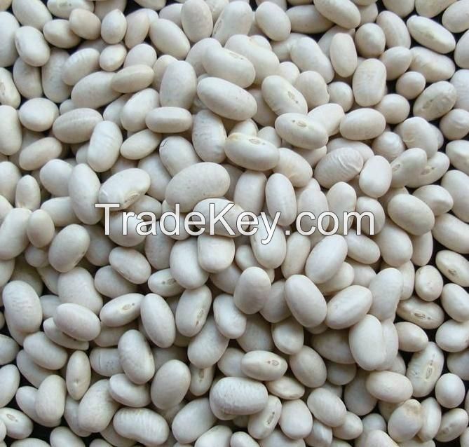 Dried kidney beans white kidney beans