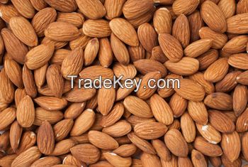 PREMIUM QUALITY Almonds