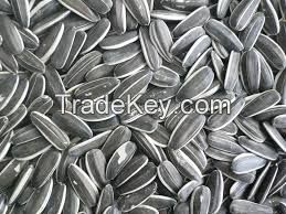SUNFLOWER SEEDS FOR SALE